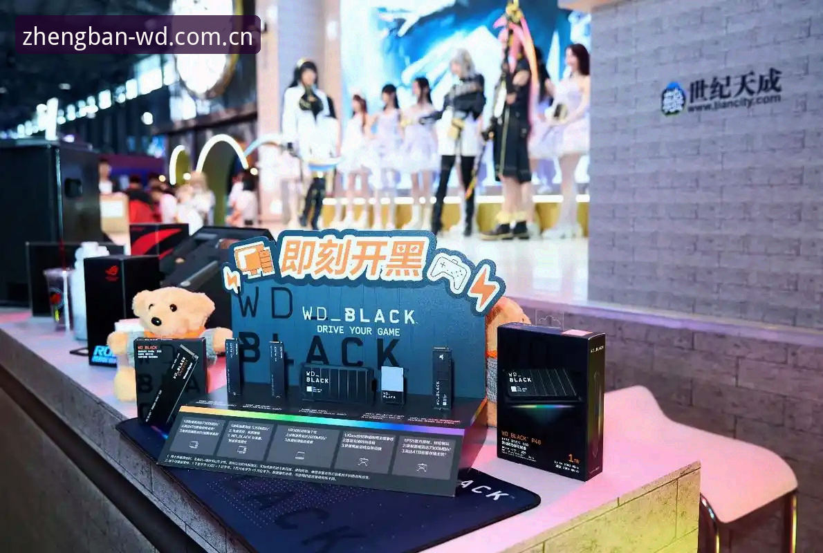 wd娱乐安全下载功能详解：从入门到精通的完整指南